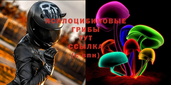 a pvp Алексин