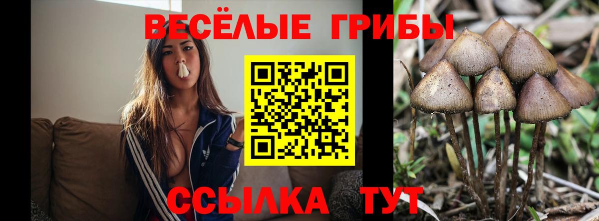 Звенигород  Псилоцибиновые грибы прущие грибы  Галлюциногенные грибы MAGIC MUSHROOMS  Вход с VPN 